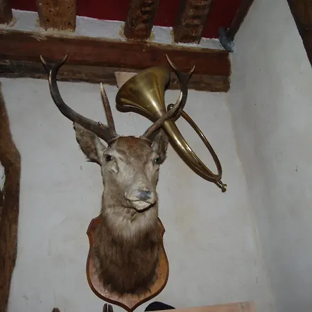 Manoir De La Belangere Et Petit Gæstehus Saint-Agnan-de-Cernières