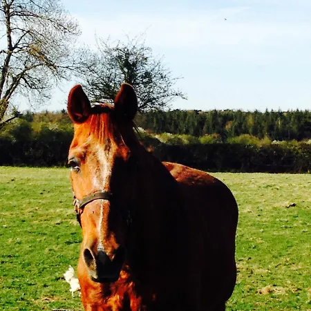 Manoir De La Belangere Et Petit Gæstehus *